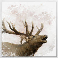 AL-080W080