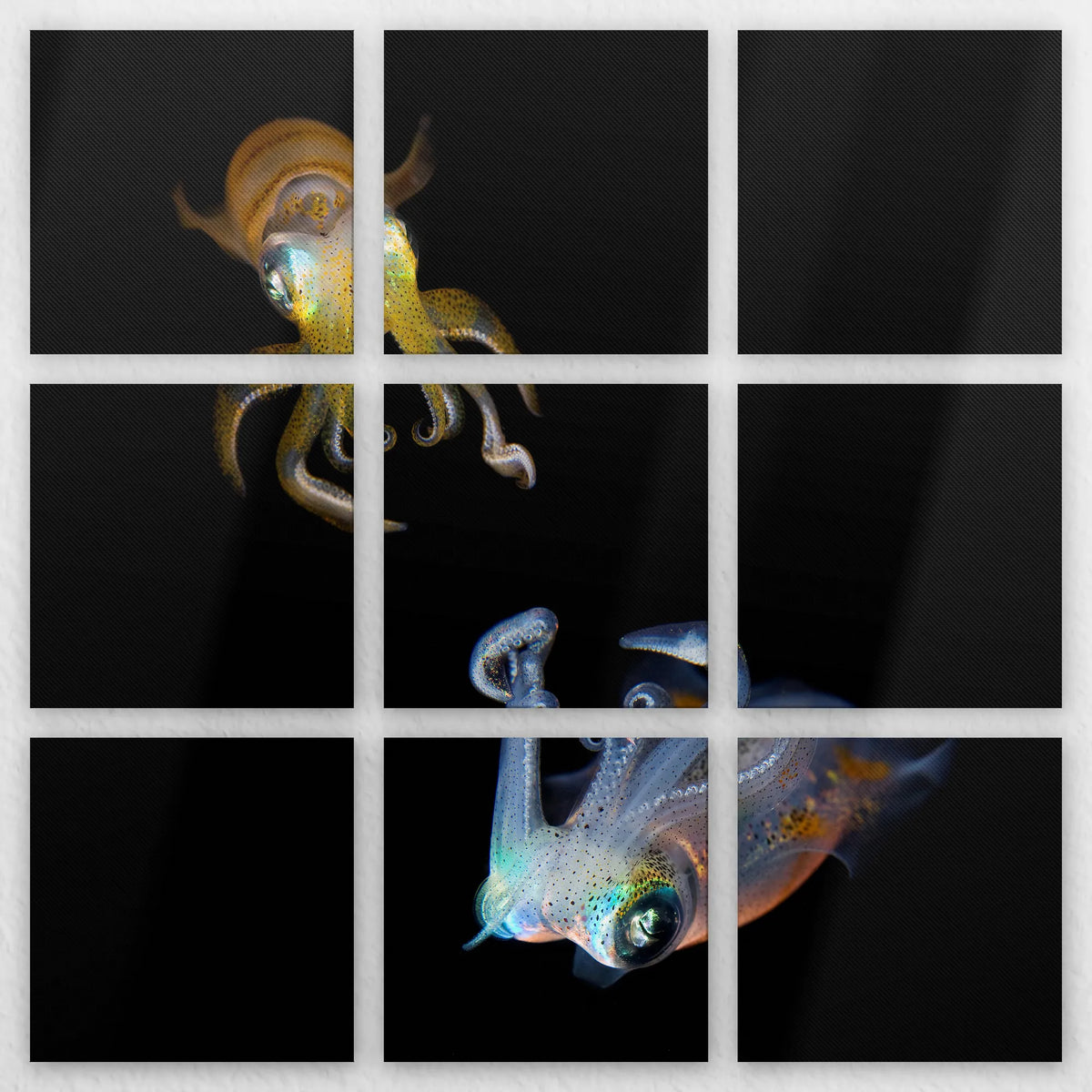 LW-210Z210
