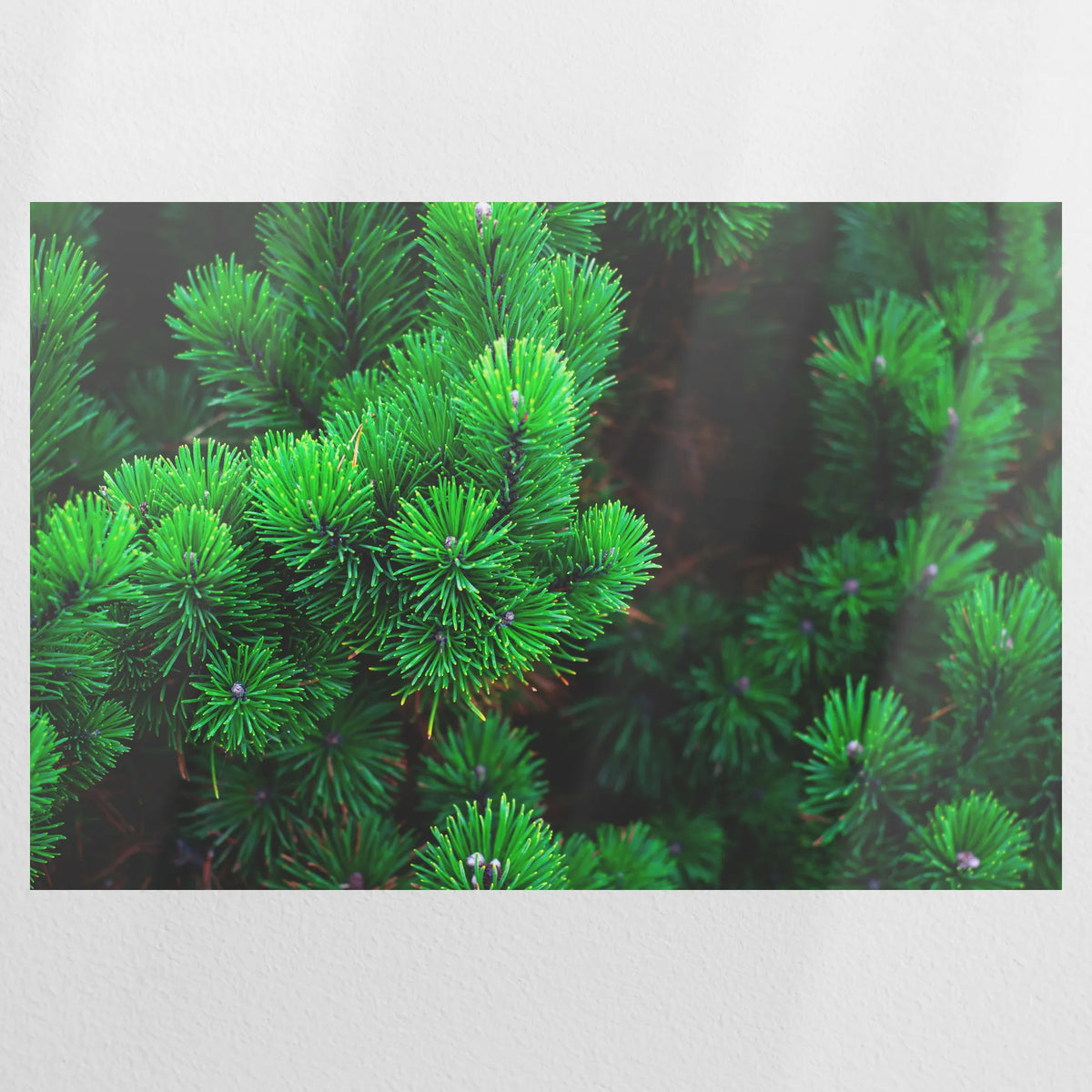 PO-090W060