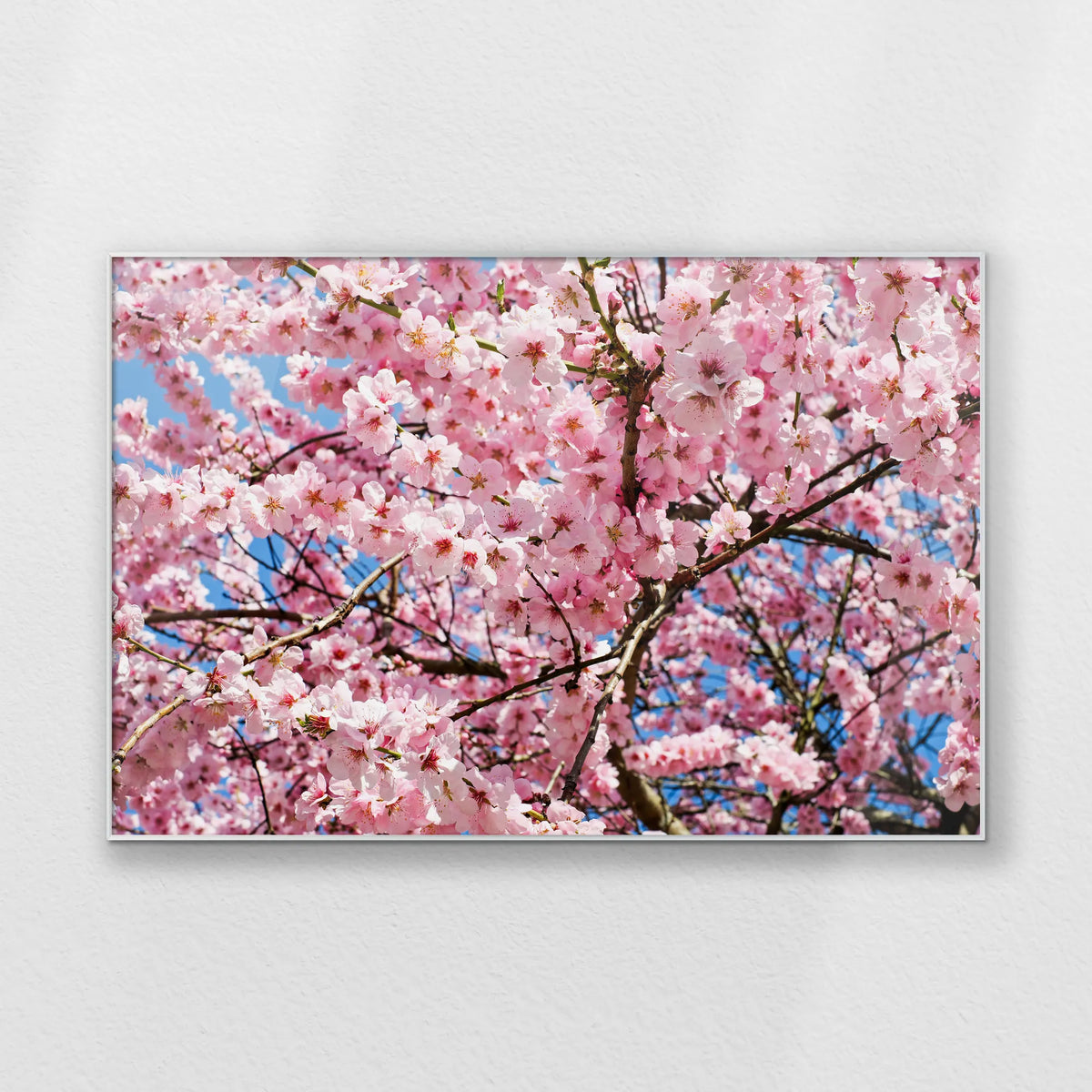 PS-120W080