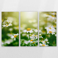 LW-210R140