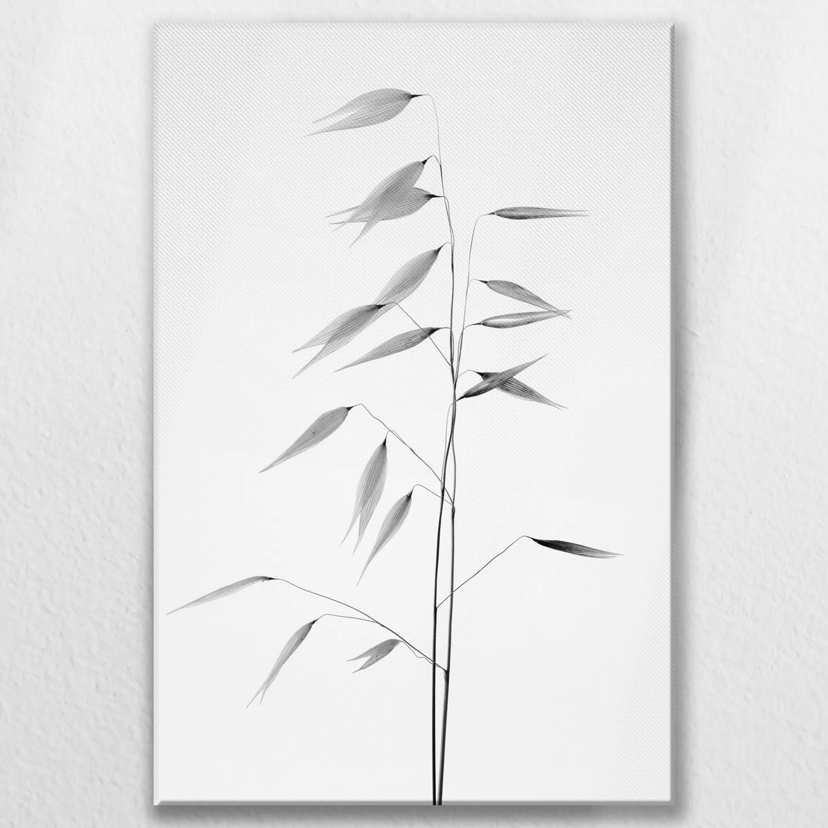 LW-080W120