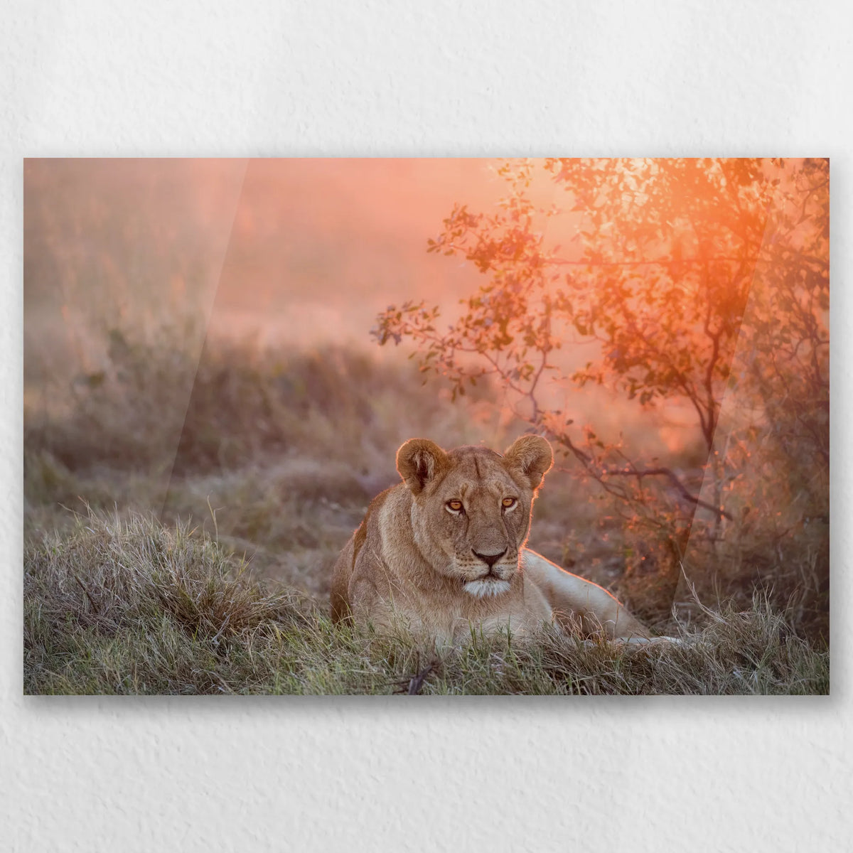 AC-045W030