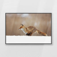 PB-093W062