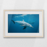 PNP060W040