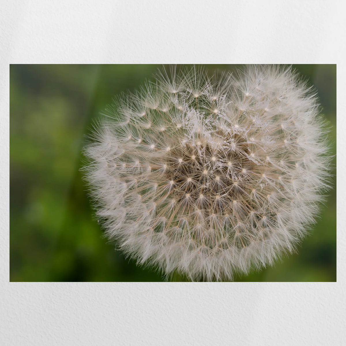 PO-090W060