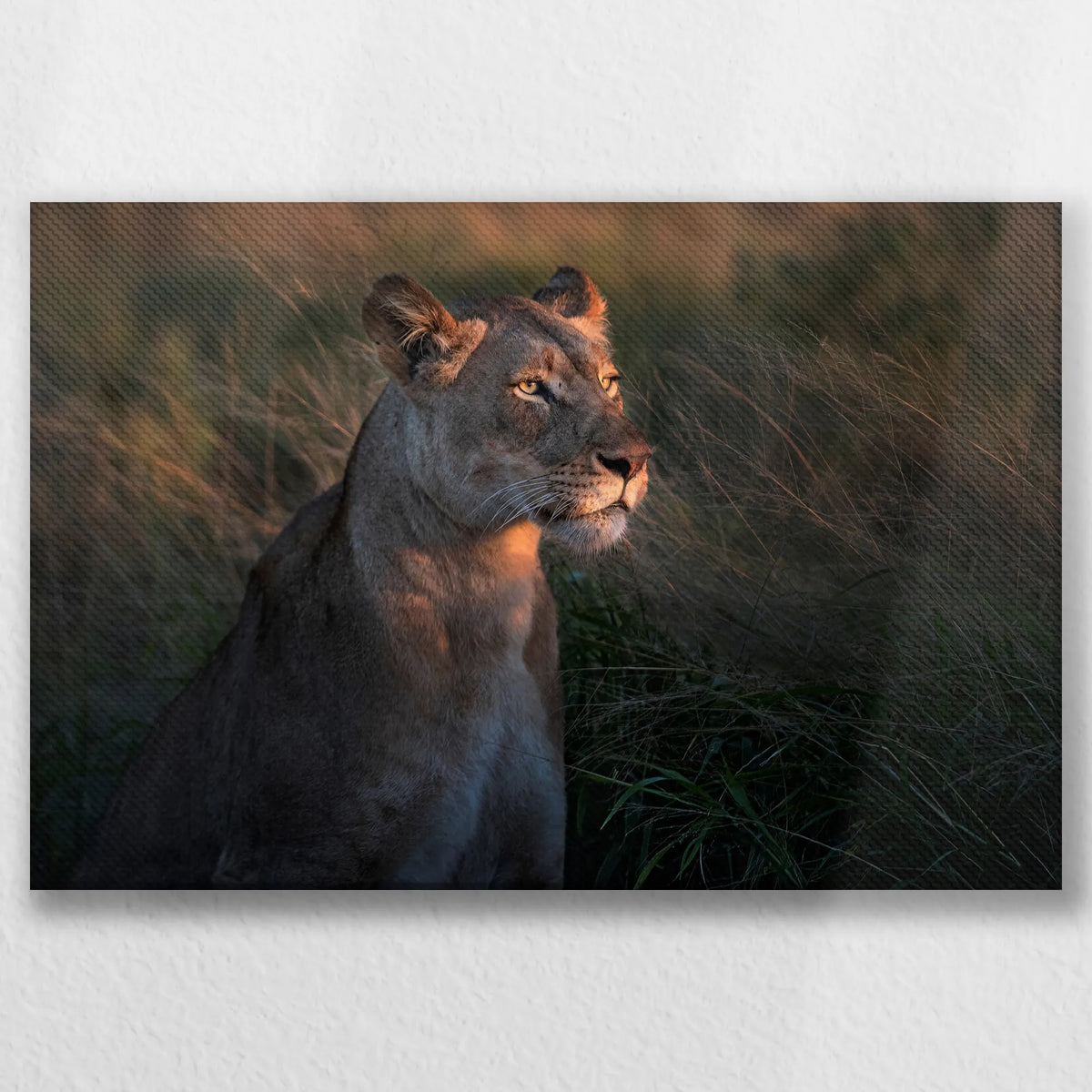 LW-045W030