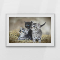 PSP100W070