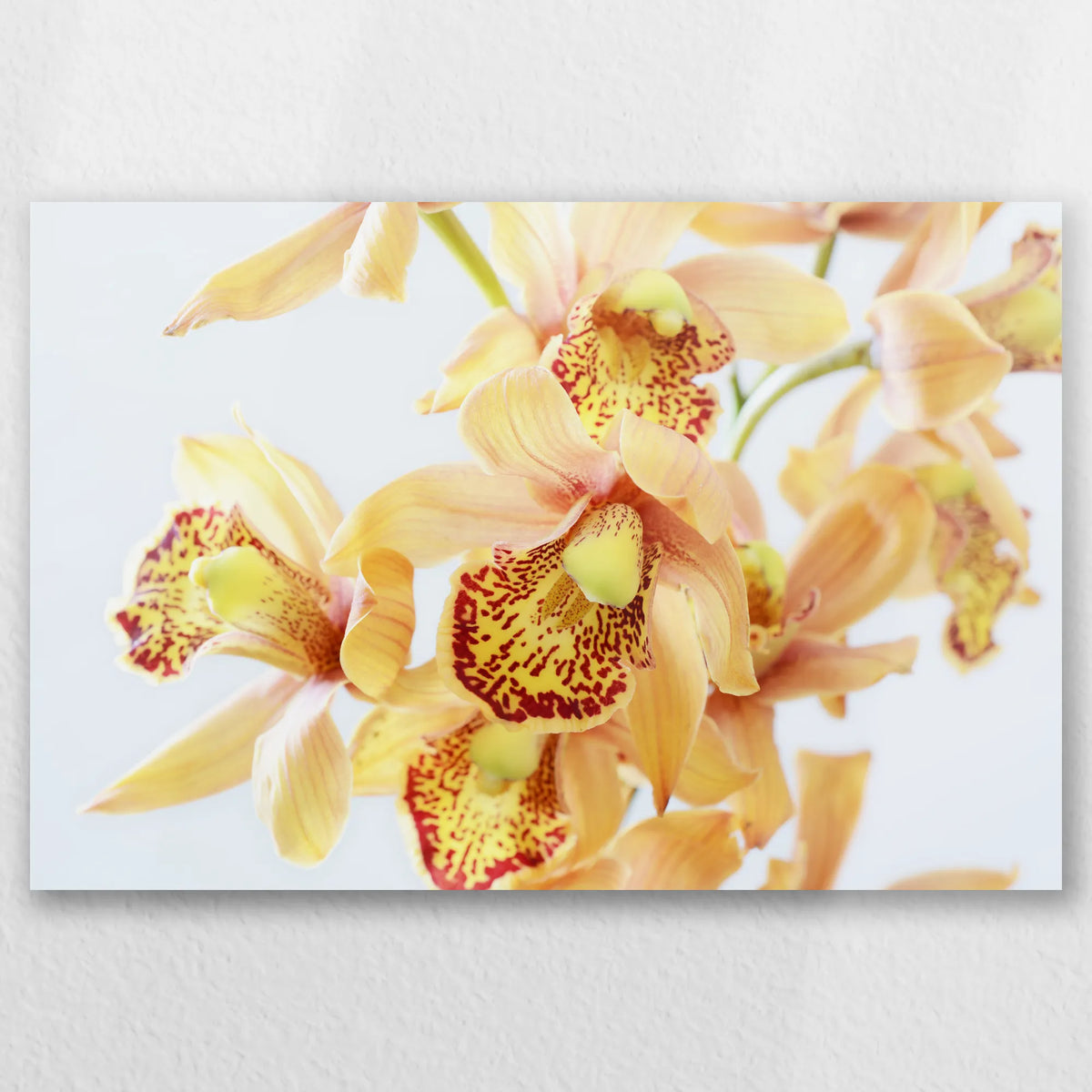 AL-030W020