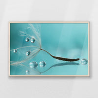 PN-093W062