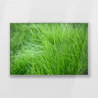 PS-120W080