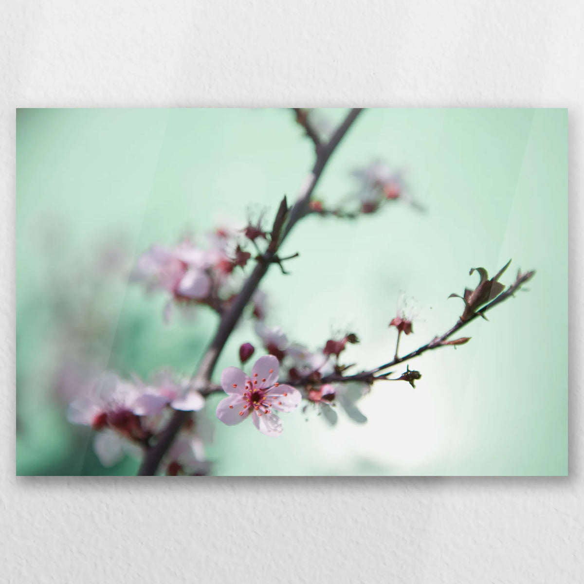 AC-060W040