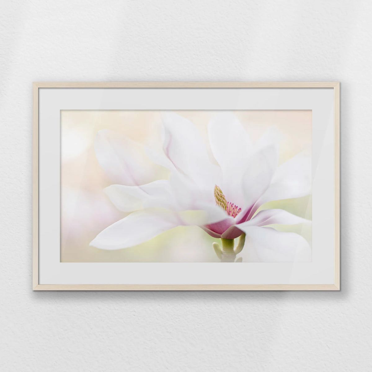 PNP093W062