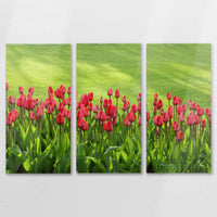 AL-120R080