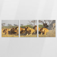 AL-210S070