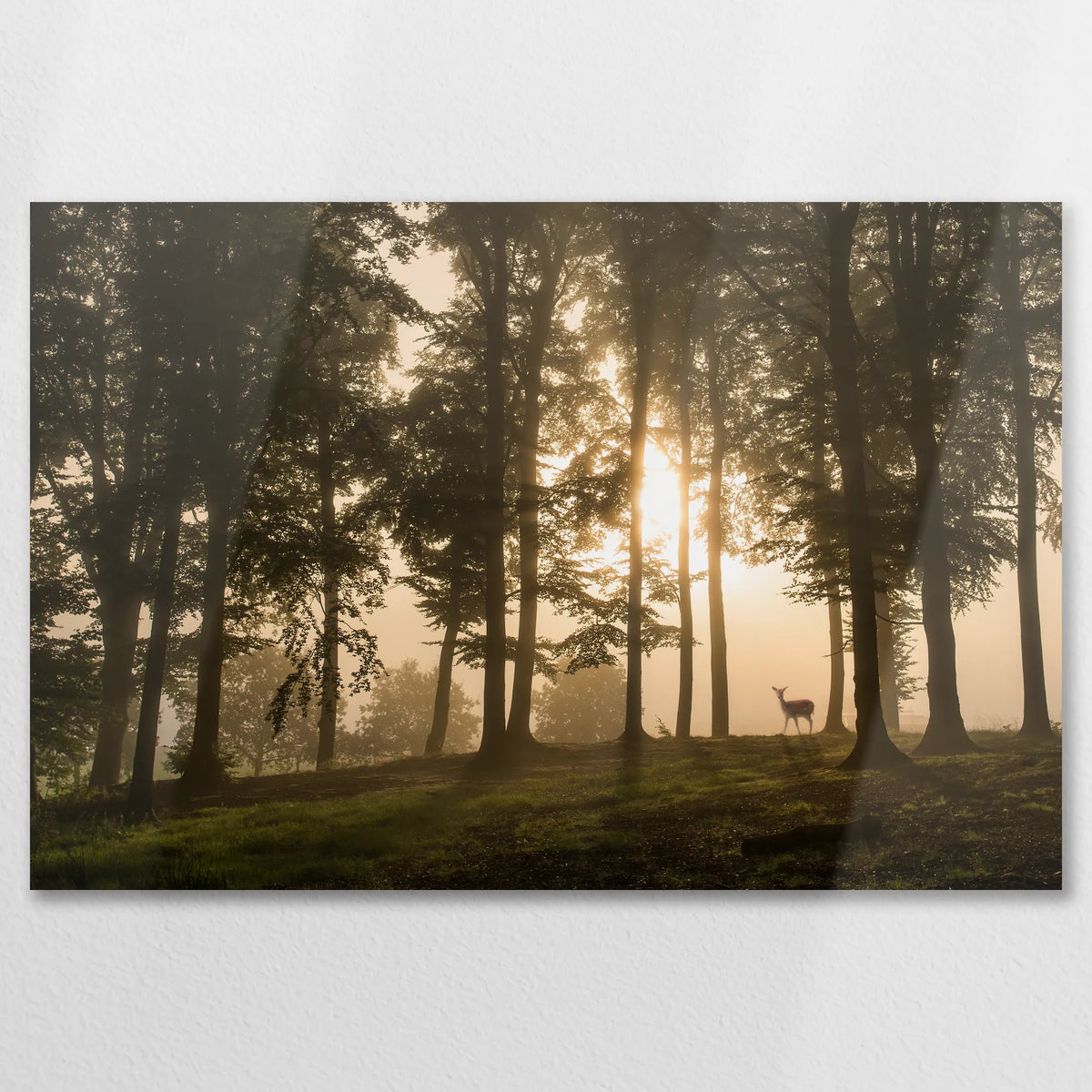 AL-090W060