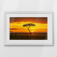 PWP060W040