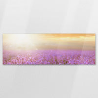 AC-150P050