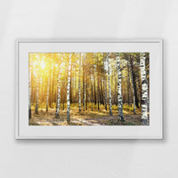 PWP093W062
