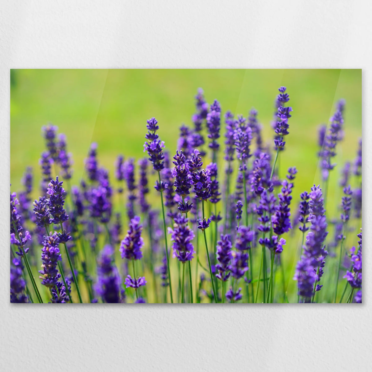 AC-120W080