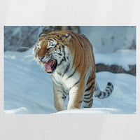 PO-045W030