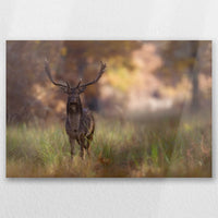 AL-030W020