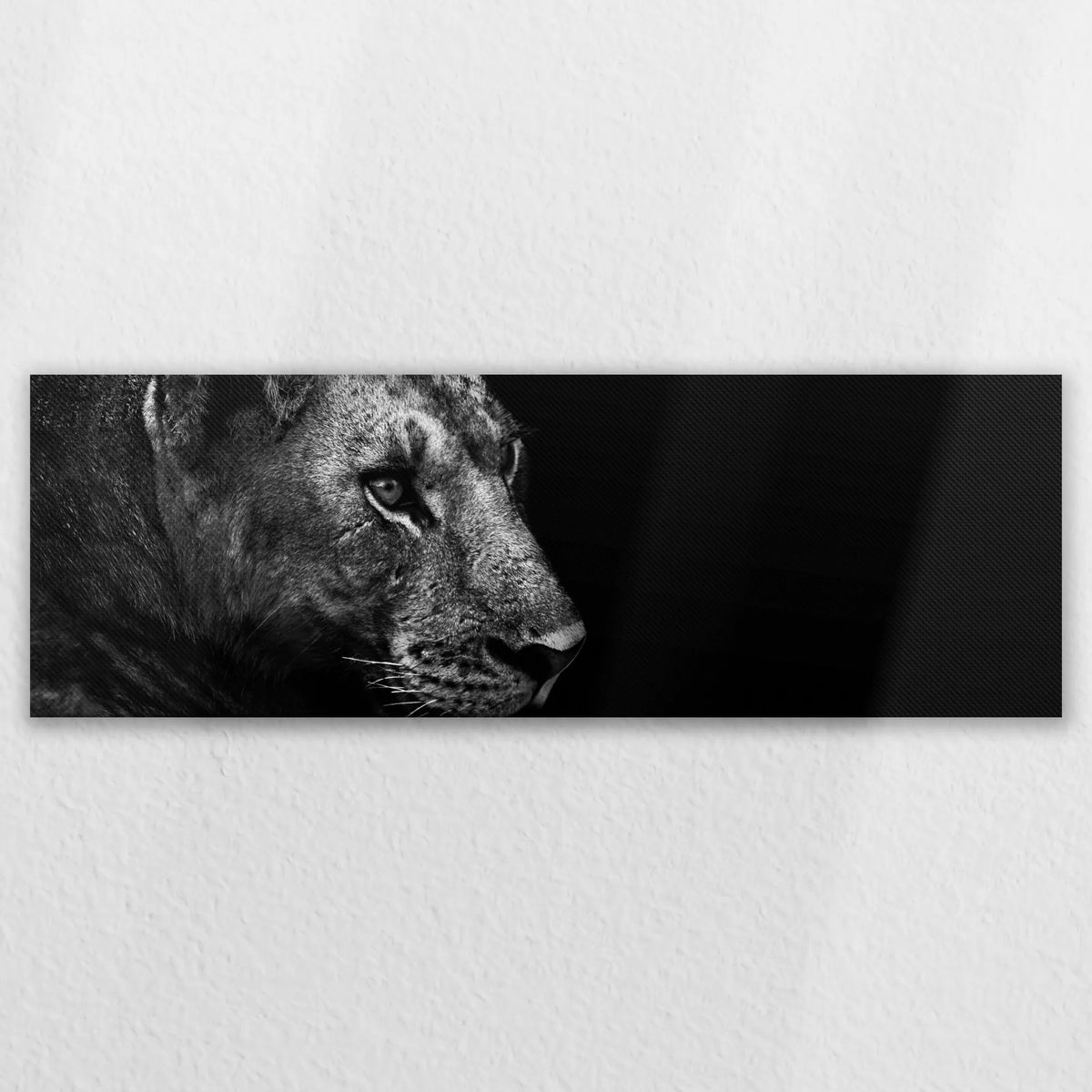 LW-150P050