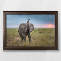 LWN030W020