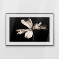 PBP093W062