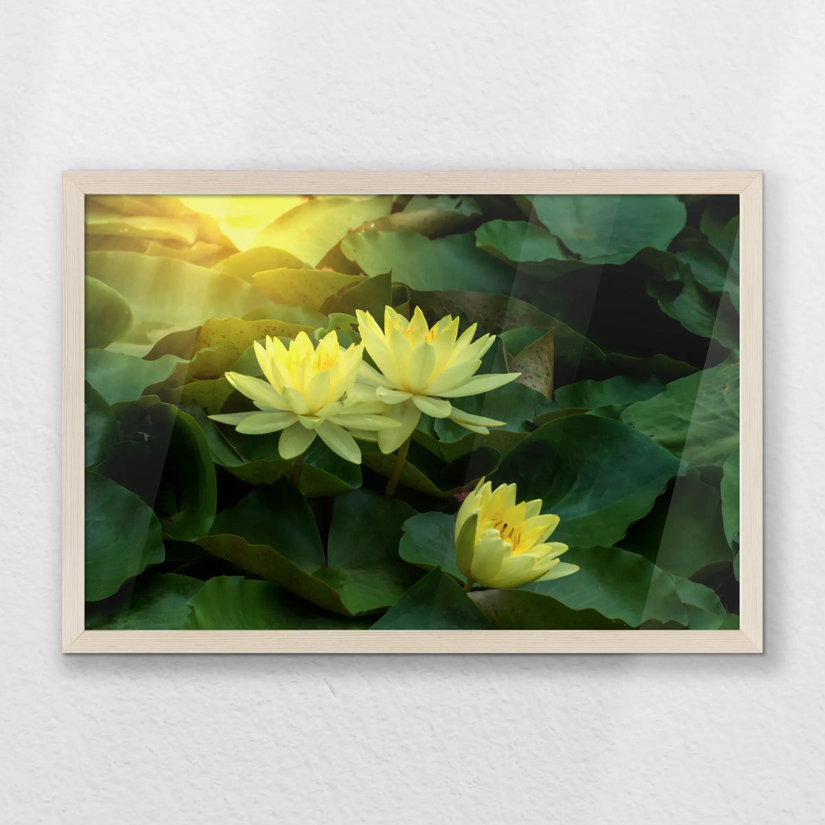PN-060W040