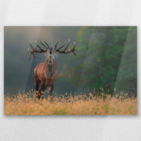 AL-030W020