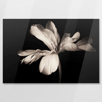 AC-075W050
