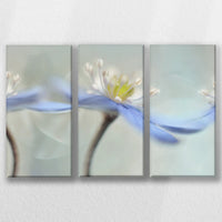 LW-060R040