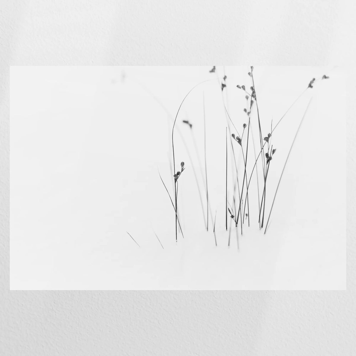 PO-090W060