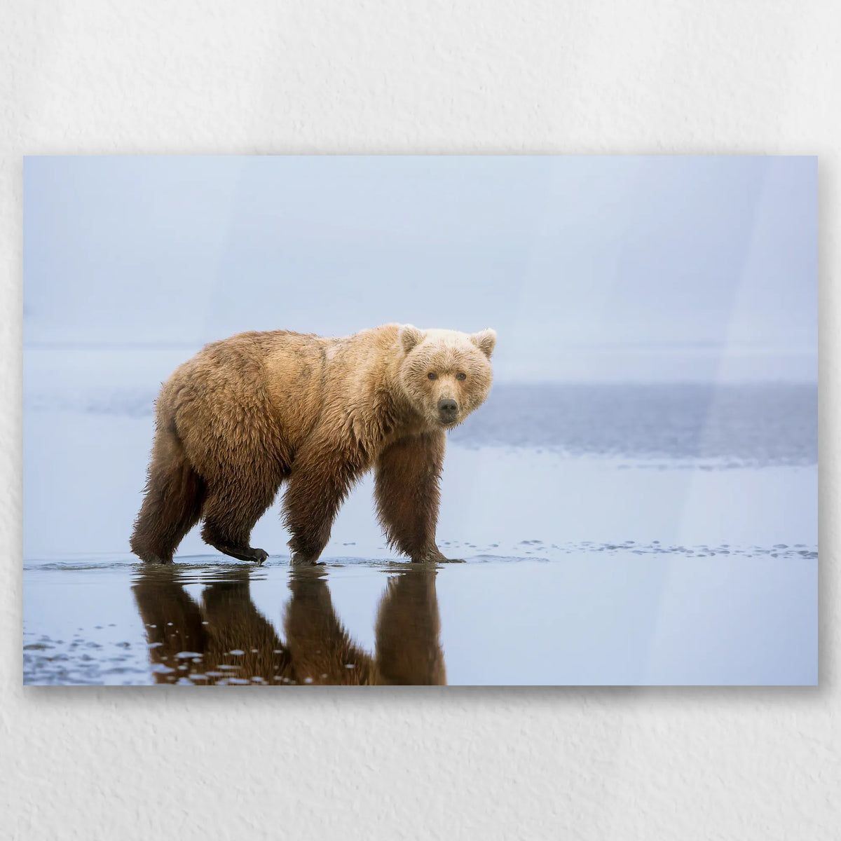 AL-030W020