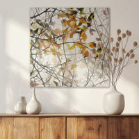 AC-050W050