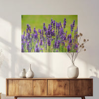 PO-075W050