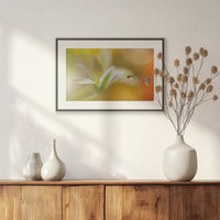 PBP060W040