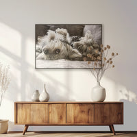 PB-093W062