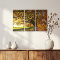 AC-060R040