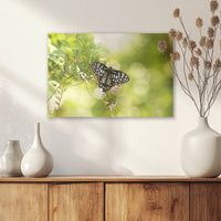 AC-045W030