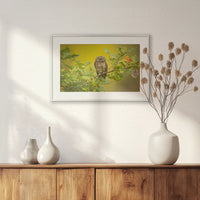 PSP060W040