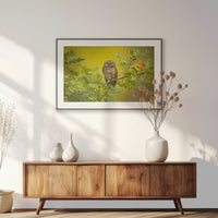 PBP100W070