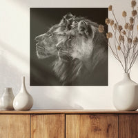 PO-030W030