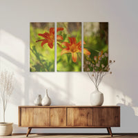 AC-120R080
