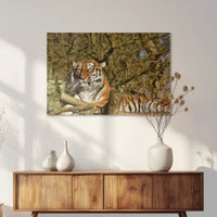 AC-075W050