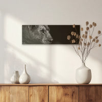 AC-060P020