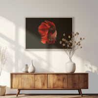 PN-100W070