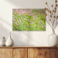 AC-030W020