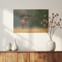 PO-060W040